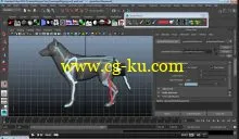 3DMotive – Quadruped Rigging in Maya Volume 1的图片1