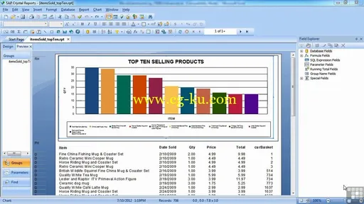 Infinite Skills – Advanced Crystal Reports 2011 Training Video的图片4