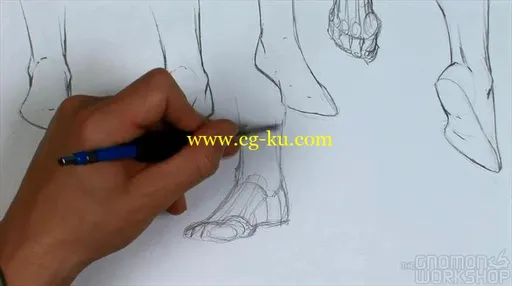 Dynamic Figure Drawing: Hands and Feet (2010)的图片4