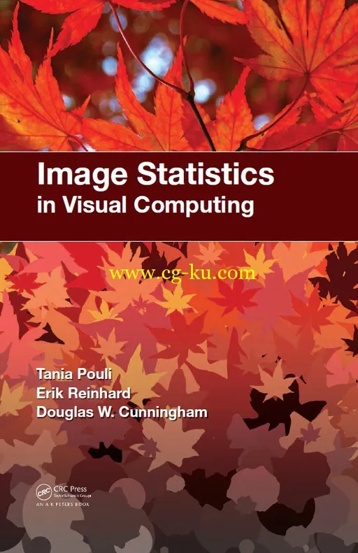 Image Statistics in Visual Computing-P2P的图片1