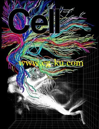 Cell – 16 June 2016-P2P的图片1