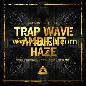 CAPSUN ProAudio Trap Wave and Ambient Haze WAV的图片1