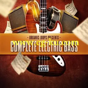 Organic Loops Complete Electric Bass WAV REX AiFF的图片1