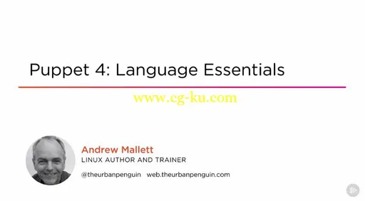 Puppet 4: Language Essentials的图片1