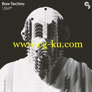 Sample Magic Raw Techno MULTiFORMAT的图片1