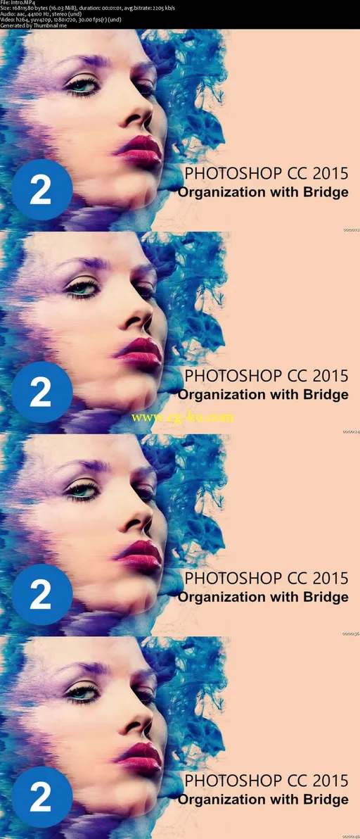 The Ultimate Photoshop CC 2015 Tutorial : Organization with Bridge的图片2
