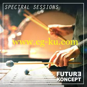 Future Koncept – Spectral Sessions WAV的图片1