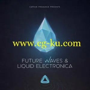 CAPSUN ProAudio Future Waves and Liquid Electronica WAV REX的图片1
