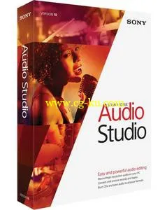 MAGIX Sound Forge Audio Studio 10.0 Build 295 Multilingual的图片1