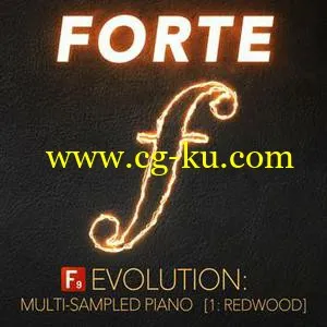 F9 Audio FORTE Evolution Piano: 1 Redwood KONTAKT的图片1