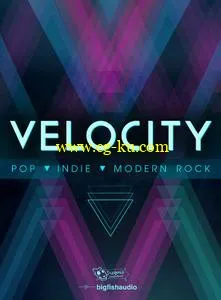 Big Fish Audio & Dieguis Productions – Velocity KONTAKT KLi的图片1