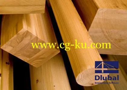 Dlubal RX-TIMBER 2.13.01 x64 Multilingual的图片1