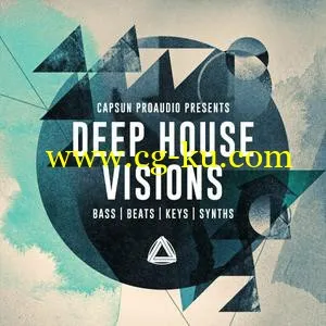 CAPSUN ProAudio Deep House Visions WAV的图片1