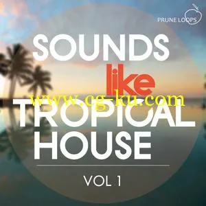 Prune Loops Sounds Like Tropical House Vol 1 WAV MiDi的图片1