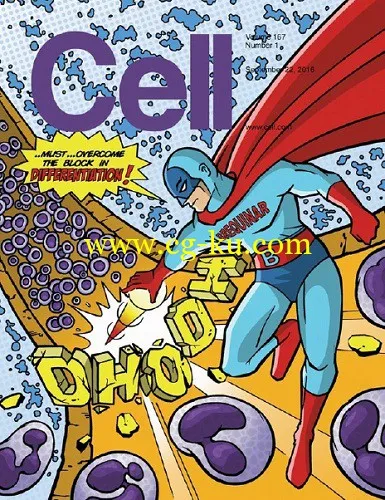 Cell – 22 September 2016-P2P的图片1