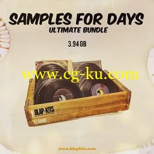 !llmind Samples For Days Ultimate Bundle WAV的图片1