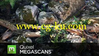 Quixel Megascans Studio v0.912 with Mega Pack Win/Mac的图片1