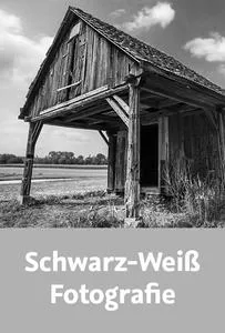 Video2Brain – Schwarz-Weiß-Fotografie的图片1