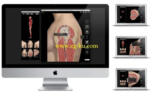 Shoulder Pro III with Animations v3.2.2 MacOSX的图片4