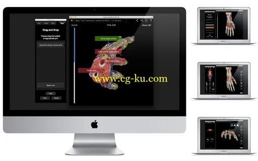 Hand and Wrist Pro III with Animations v3.2.2 MacOSX的图片4