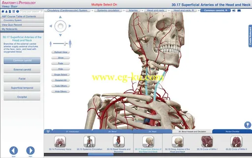 Visible Body Anatomy and Physiology v1.2.8 MacOSX的图片1