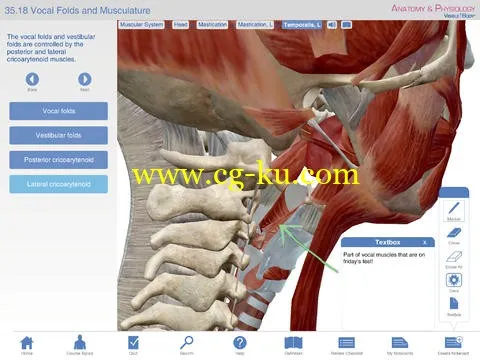 Visible Body Anatomy and Physiology v1.2.8 MacOSX的图片2
