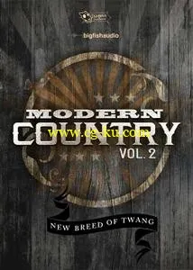 Big Fish Audio Modern Country Vol 2 MULTiFORMAT的图片1