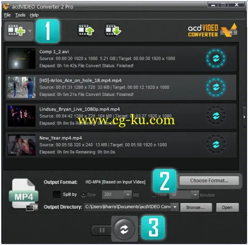 ACD Systems acdVIDEO Converter Pro 4.1.0.166的图片1