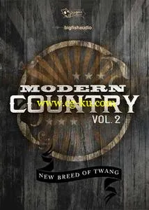 Big Fish Audio & Dieguis Productions Modern Country Vol 2 KONTAKT的图片1