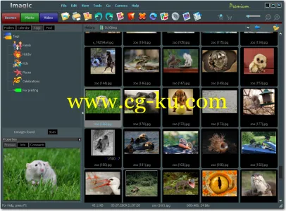 STOIK Imagic Premium 5.0.7.4937的图片1