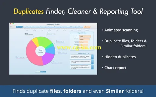 Duplicates Expert 3.1 MacOSX的图片1