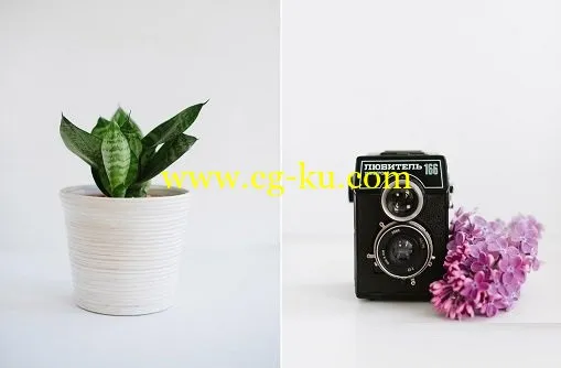 Still Life Photography Find Your Simple的图片2