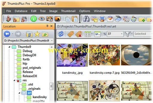 ThumbsPlus Pro 9.0 Build 3926 图形编辑管理的图片1