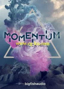 Big Fish Audio Momentum Pop Rock Hits MULTiFORMAT的图片1