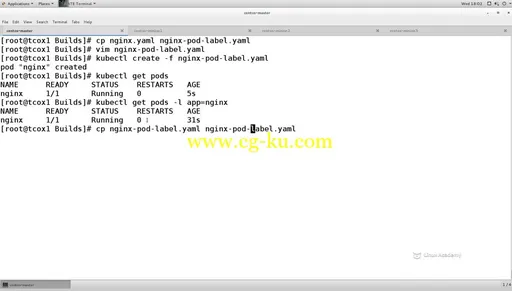 Linux Academy – Running Container Clusters with Kubernetes的图片2