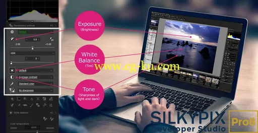 SILKYPIX Developer Studio Pro 8.0.25.0的图片1