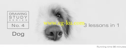 5 Pencil Methos – DRAWING STUDY NO.4: DOG的图片1