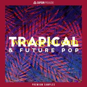 CAPSUN ProAudio Trapical and Future Pop WAV REX的图片1