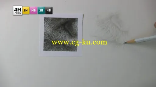 5 Pencil method – DRAWING STUDY NO.8: White Beard的图片2