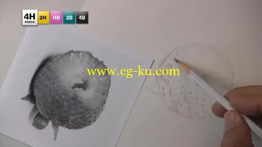 5 Pencil method – DRAWING STUDY NO.3: Strawberry的图片2