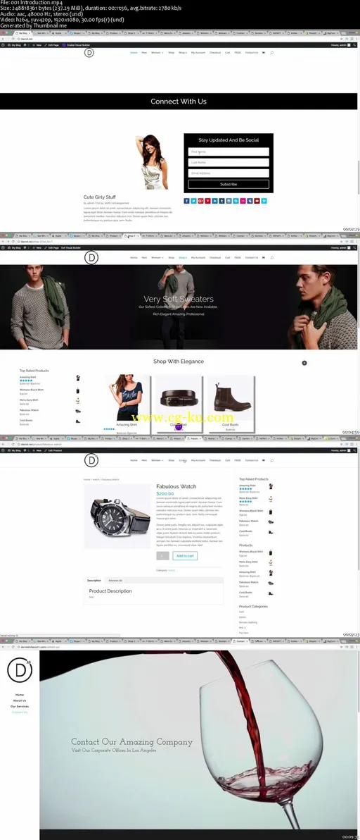 Create an eCommerce WordPress Website 2016 – New Divi Theme的图片2