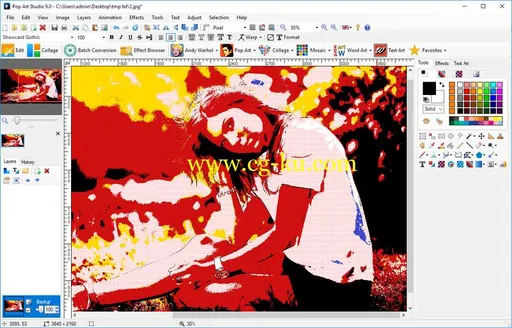 Pop Art Studio 9.1 Batch Edition Multilingual x86/x64的图片1