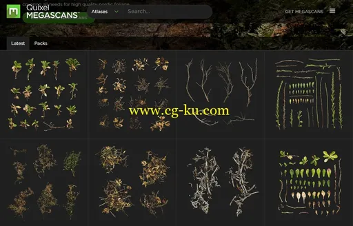 Quixel Megascans Studio 0.922 + Assets的图片3