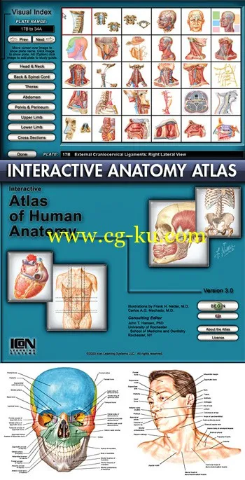 Netter Interactive Atlas of Human Anatomy 3.0的图片1