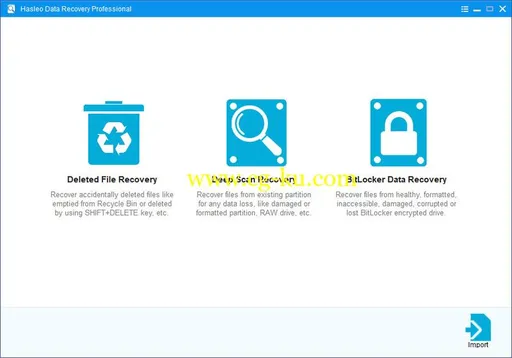 Hasleo Data Recovery 3.7 x86/x64 Pro / Enterprise / Technician / Utilmate的图片1