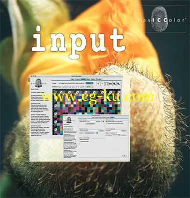 basICColor input 5.2.0 Build 2434 Multilingual的图片1