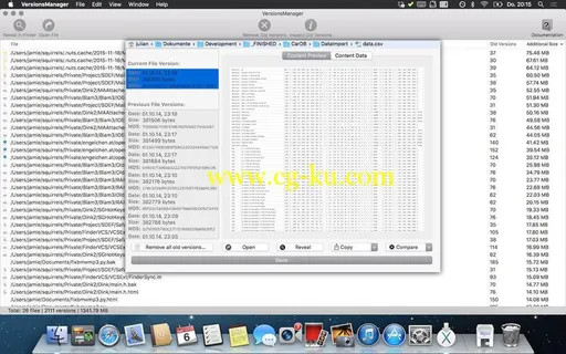 VersionsManager Pro 1.1.6 MacOSX的图片1