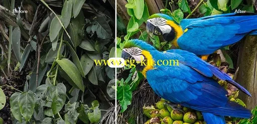 Photolemur 2.3.0.1796 x64 Multilingual的图片1
