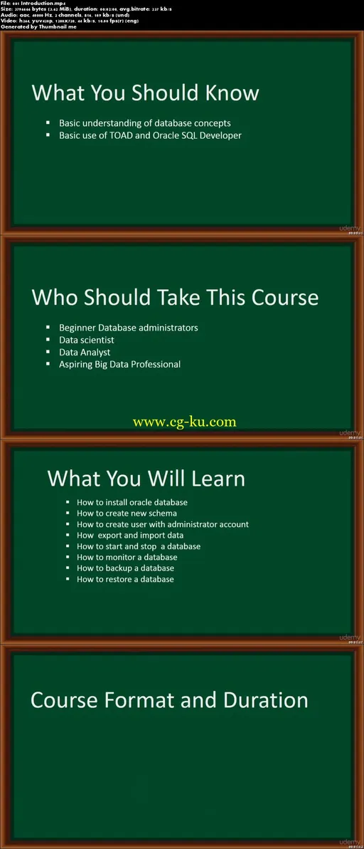 A Guide to becoming an Oracle Database Administrator (DBA)的图片2