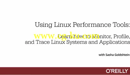 Using Linux Performance Tools的图片2